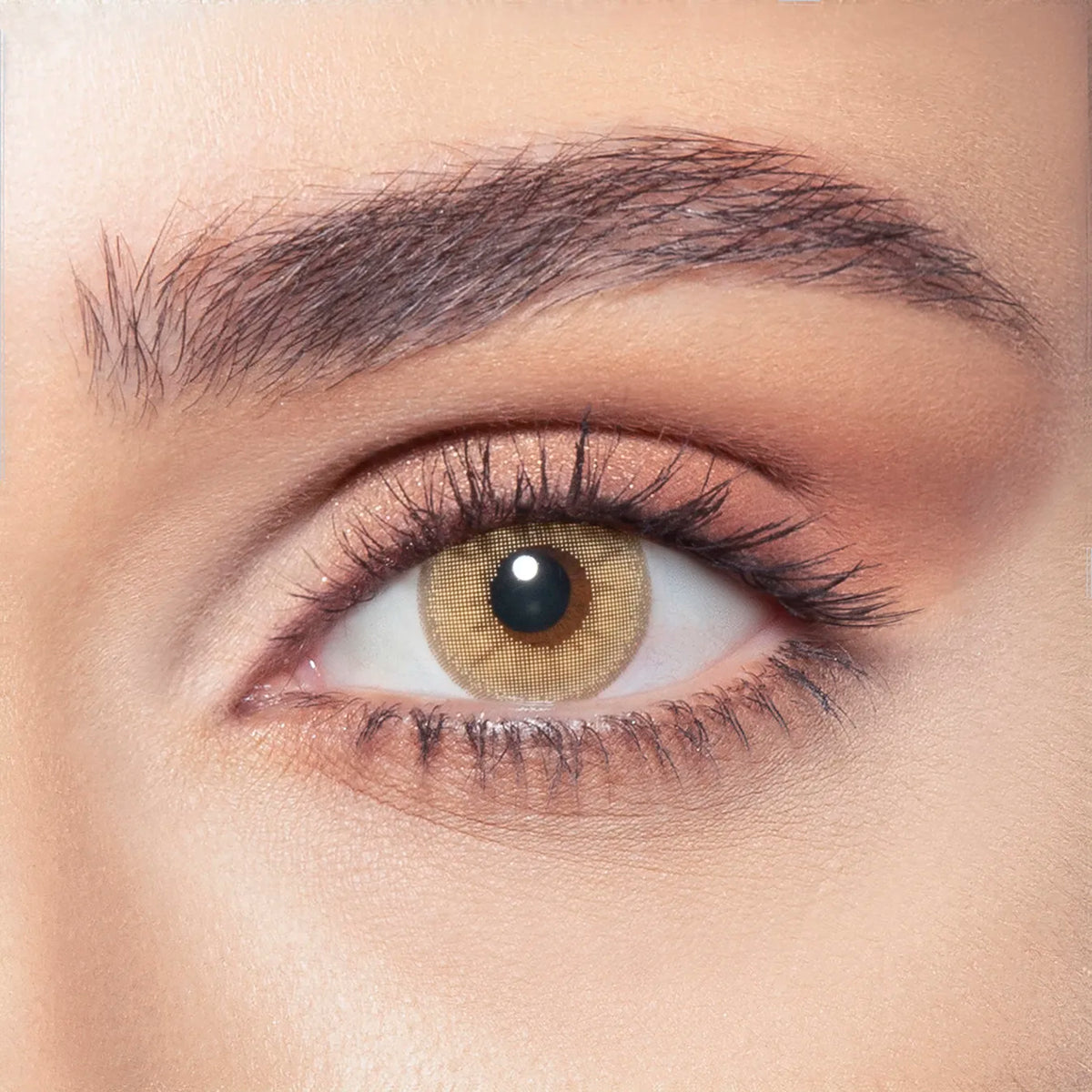 Hazel Beige