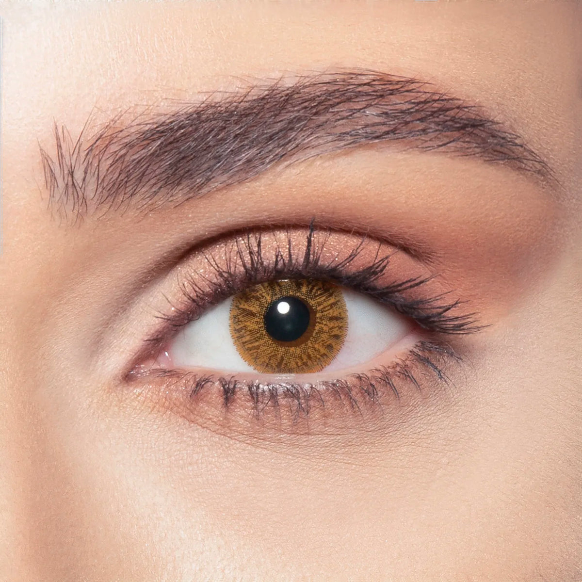 Natural Cool Hazel