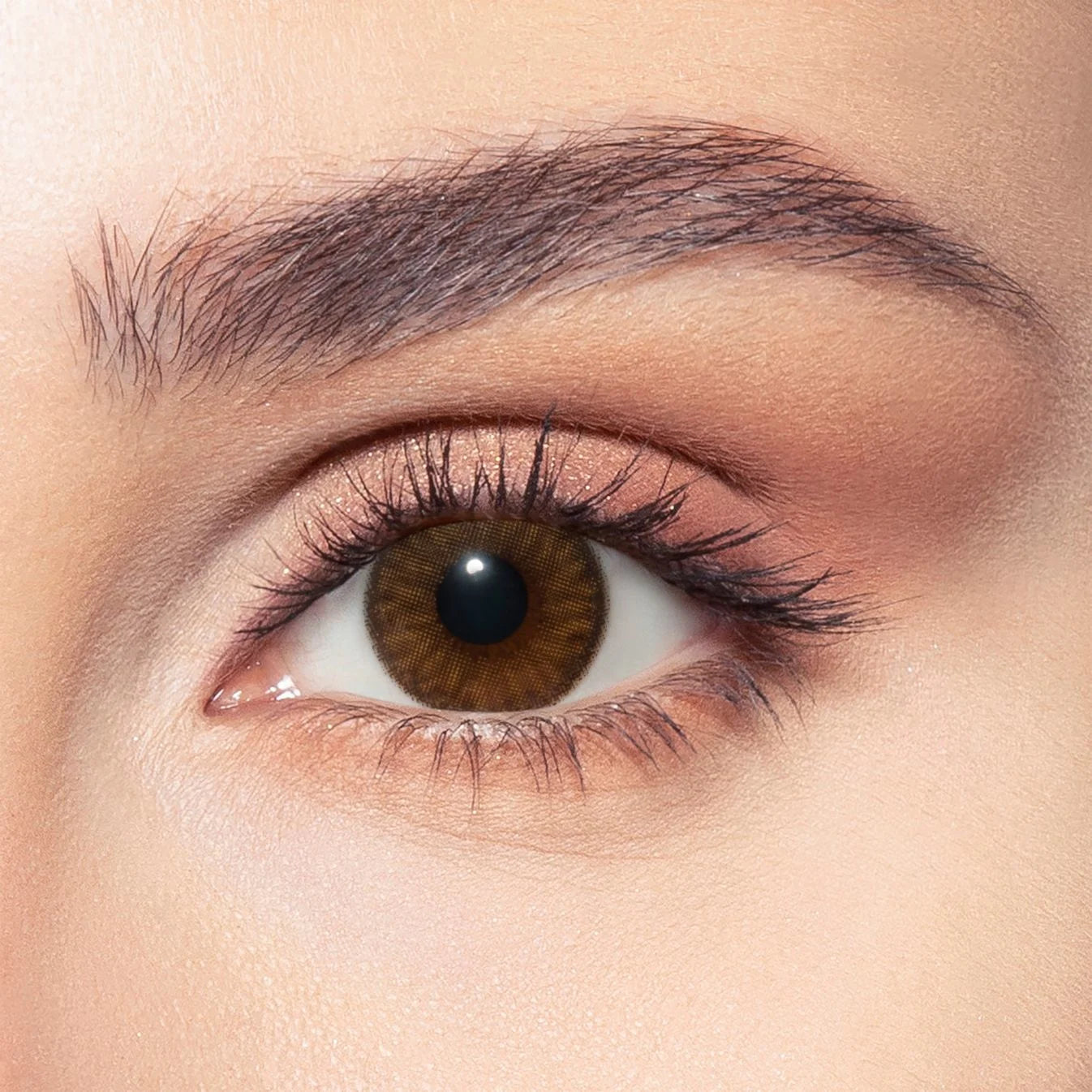 Bella Contact Lenses, brown colors named Nerelle on Dark brown eyes