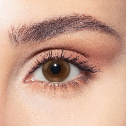 Bella Contact Lenses, brown colors named Siren Bronze on Dark brown eyes