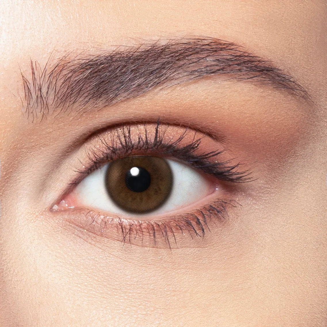 Venus Monthly after — On Hazel Eyes