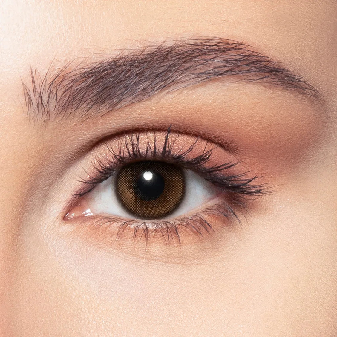 Venus Monthly after — On Dark Brown Eyes