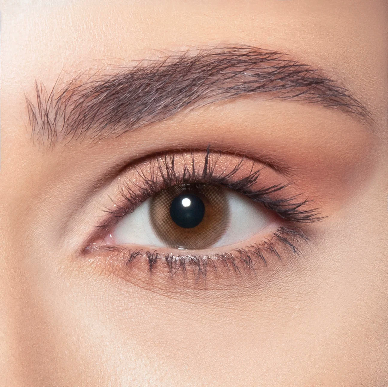 Venus after — On Brown Eyes