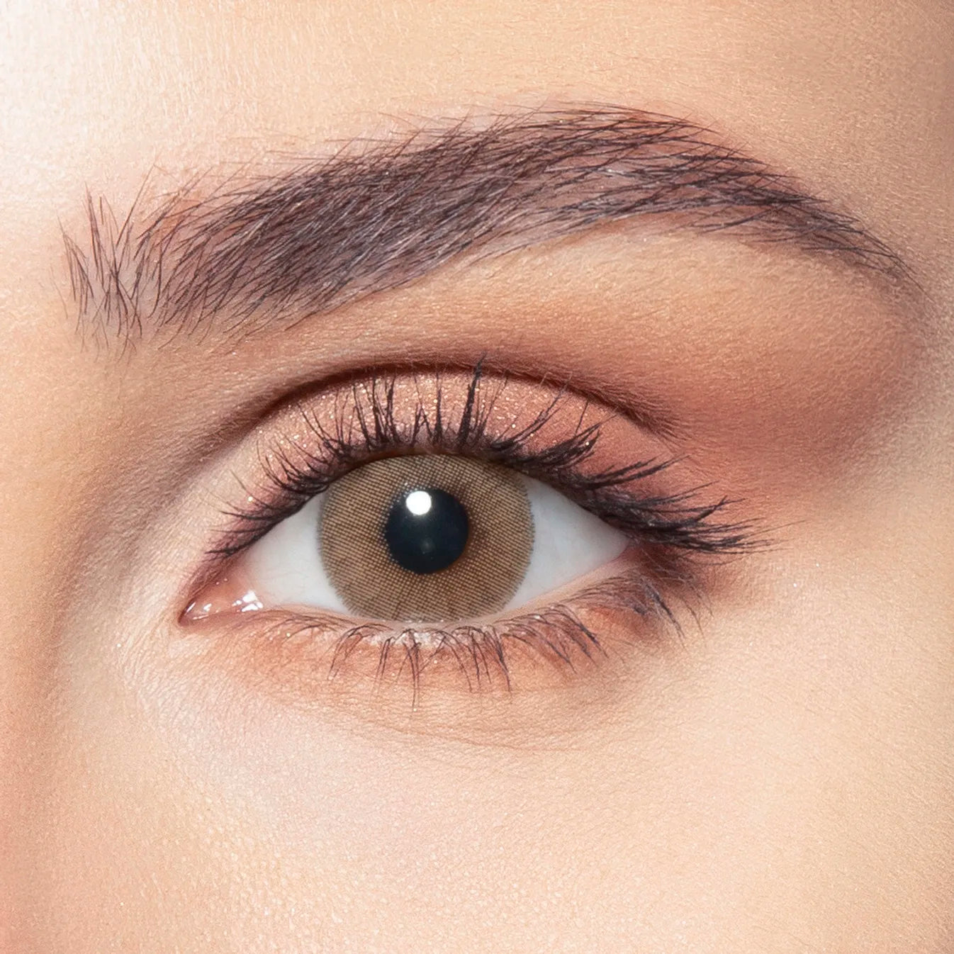 Wild Honey after — On Dark Brown Eyes