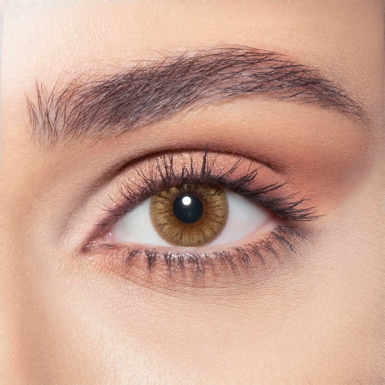 Hazel Honey after — On Brown Eyes